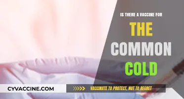 The Common Cold: Vaccines and Prevention