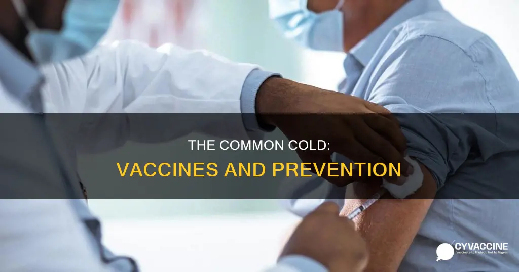 is there a vaccine for the common cold