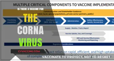 COVID-19 Vaccine: Availability, Effectiveness, and Global Distribution Explained