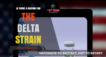 Delta Strain Vaccine: Current Status and What You Need to Know