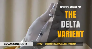 Delta Variant Vaccine: What We Know and What’s Available
