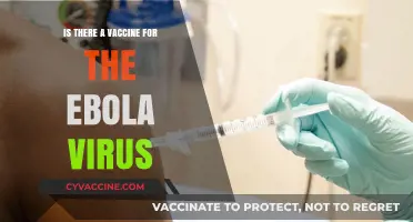 Ebola Virus Vaccine: Is There Hope?