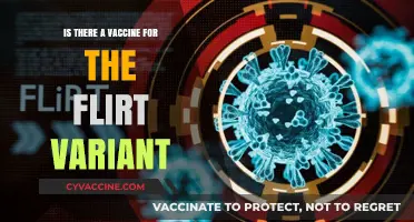Flirt Variant Vaccine: Fact or Fiction? What You Need to Know