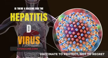 Hepatitis D Vaccine: Is It Possible?