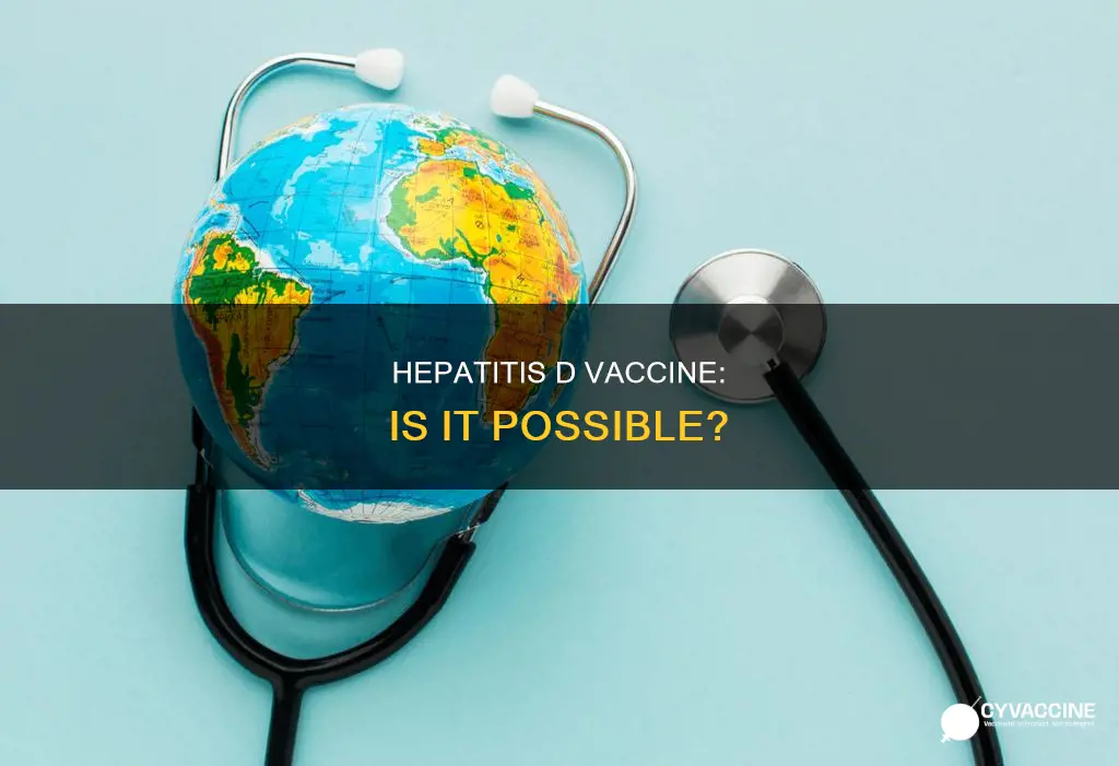 is there a vaccine for the hepatitis d virus