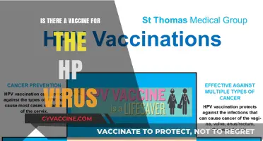 HPV Vaccine: Protection Against Human Papillomavirus Infections Explained