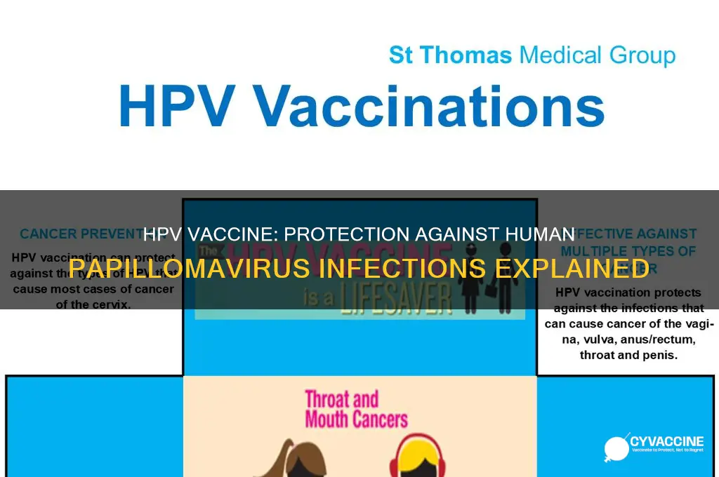 is there a vaccine for the hp virus