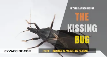 Kissing Bug Vaccine: Fact or Fiction? Exploring Chagas Disease Prevention