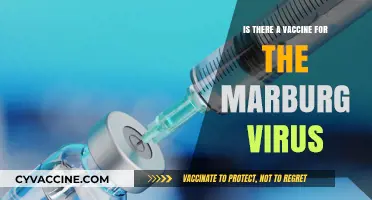 Marburg Virus Vaccine: Current Status and Future Prospects Explained