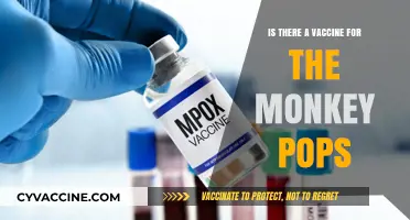 Monkeypox Vaccine: Availability, Effectiveness, and What You Need to Know
