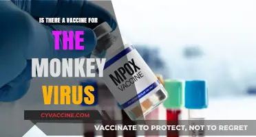 Monkeypox Vaccine: Availability, Effectiveness, and What You Need to Know