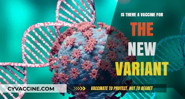 New COVID-19 Variant: Vaccine Updates and Protection Strategies