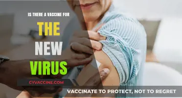 New Virus Vaccine: Current Status and What You Need to Know
