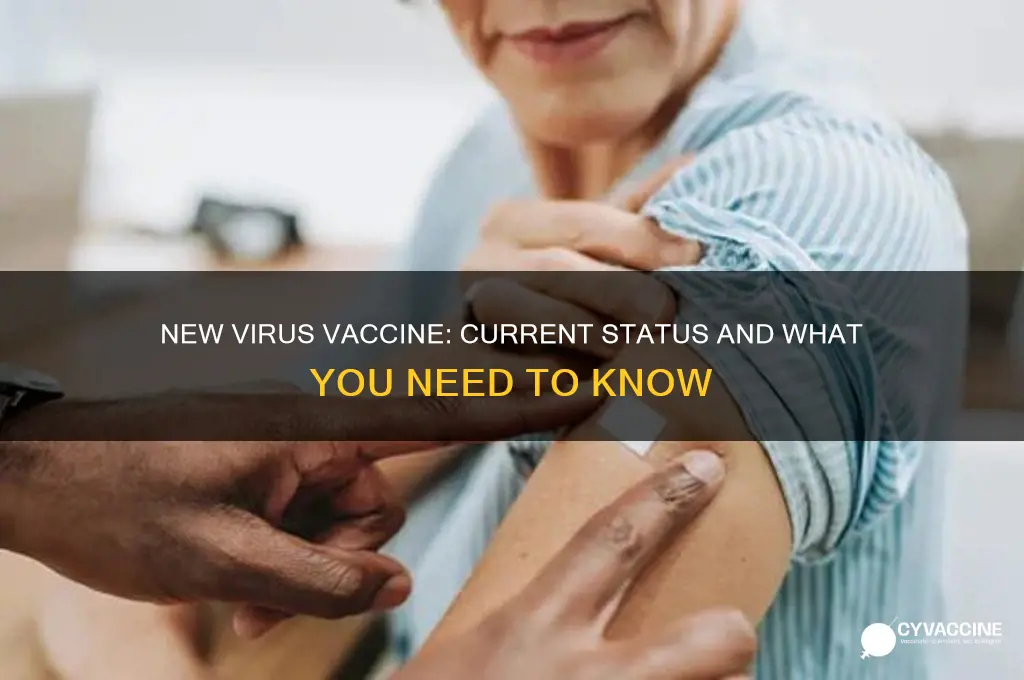 is there a vaccine for the new virus