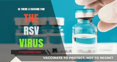 RSV Vaccine: Current Status and What You Need to Know