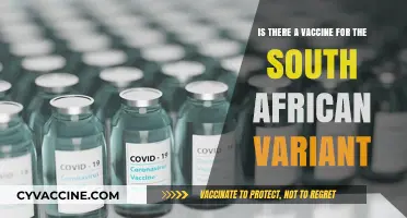 South African COVID-19 Variant: Vaccine Updates and Effectiveness Explained