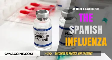 Spanish Flu Vaccine: Historical Facts and Modern Misconceptions Explained
