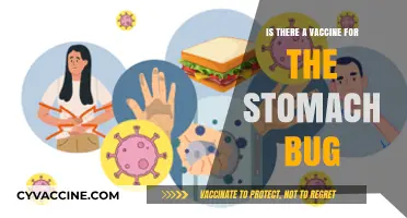 Stomach Bug Vaccine: Is It Possible?