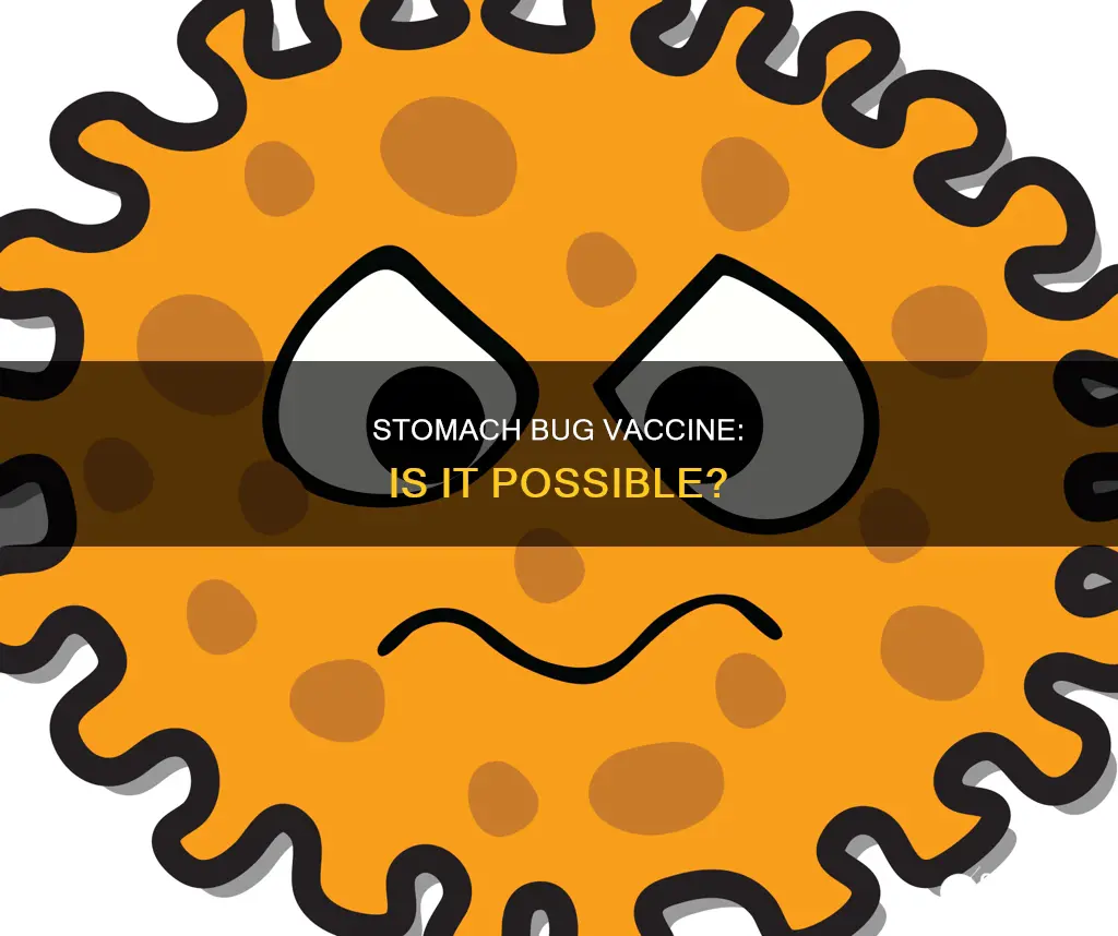 is there a vaccine for the stomach bug