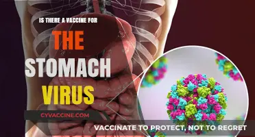 Stomach Virus Vaccine: Fact or Fiction? What You Need to Know