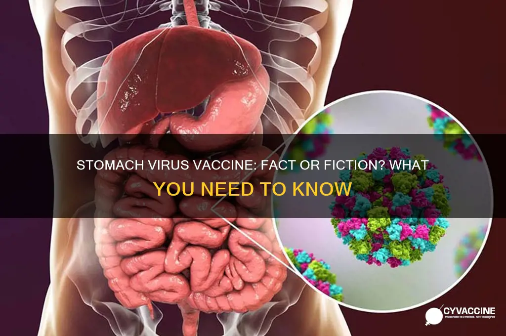 is there a vaccine for the stomach virus