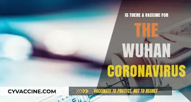 Wuhan Coronavirus Vaccine: Current Status and Future Prospects Explained