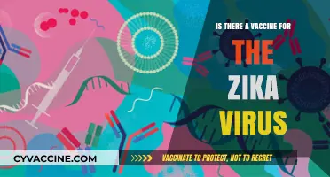 Zika Virus Vaccine: What's the Latest?