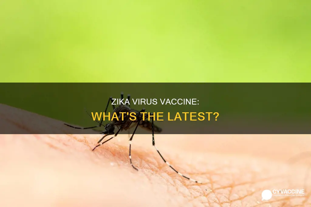 is there a vaccine for the zika virus