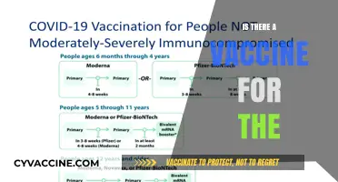 Exploring the Latest on Vaccines: A Comprehensive Guide