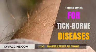 Tick-Borne Diseases: Are There Vaccines Available for Prevention?