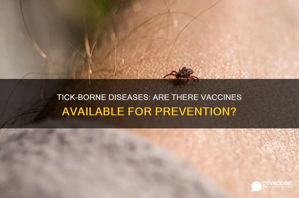 is there a vaccine for tick-borne diseases