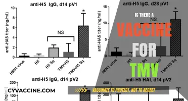 Exploring the Quest for a TMV Vaccine: Facts and Myths