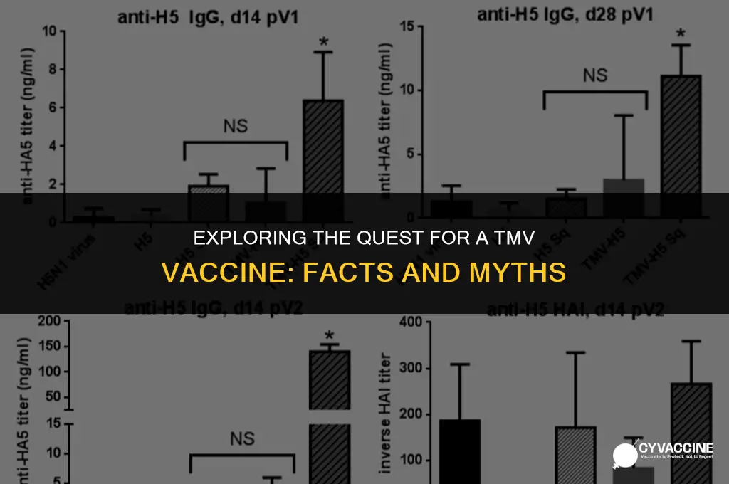 is there a vaccine for tmv