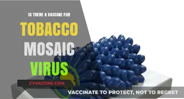 Can Tobacco Mosaic Virus Be Prevented by a Vaccine?