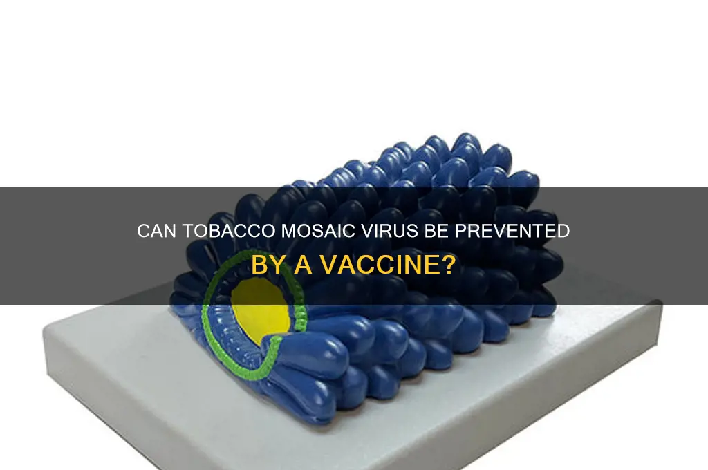 is there a vaccine for tobacco mosaic virus