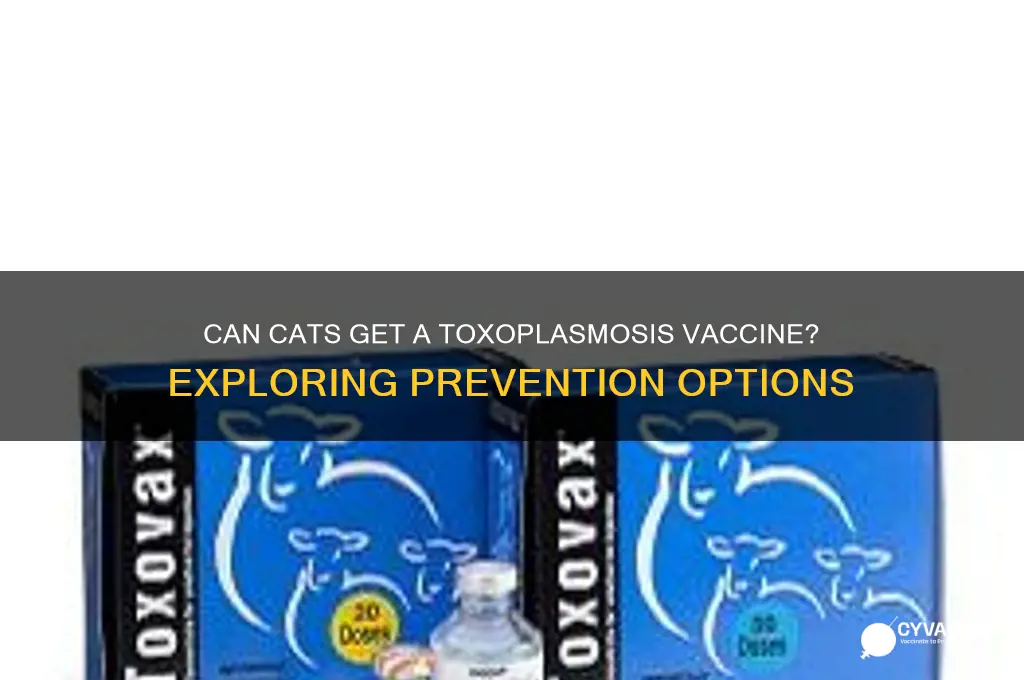 is there a vaccine for toxoplasmosis for cats