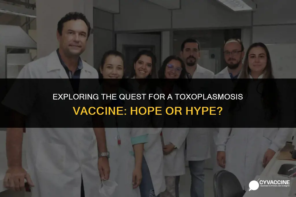 is there a vaccine for toxoplasmosis