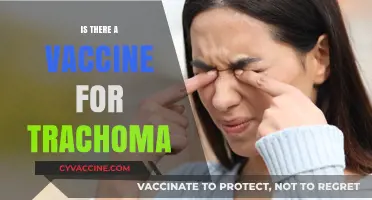 Combatting Trachoma: The Quest for a Protective Vaccine