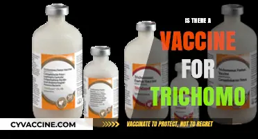 Exploring the Latest on Trichomoniasis Vaccines: Hope or Hype?