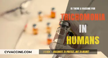 Trichomoniasis Vaccine: Current Research and Prevention Strategies for Humans