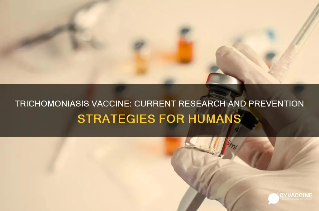 is there a vaccine for trichomoniasis in humans