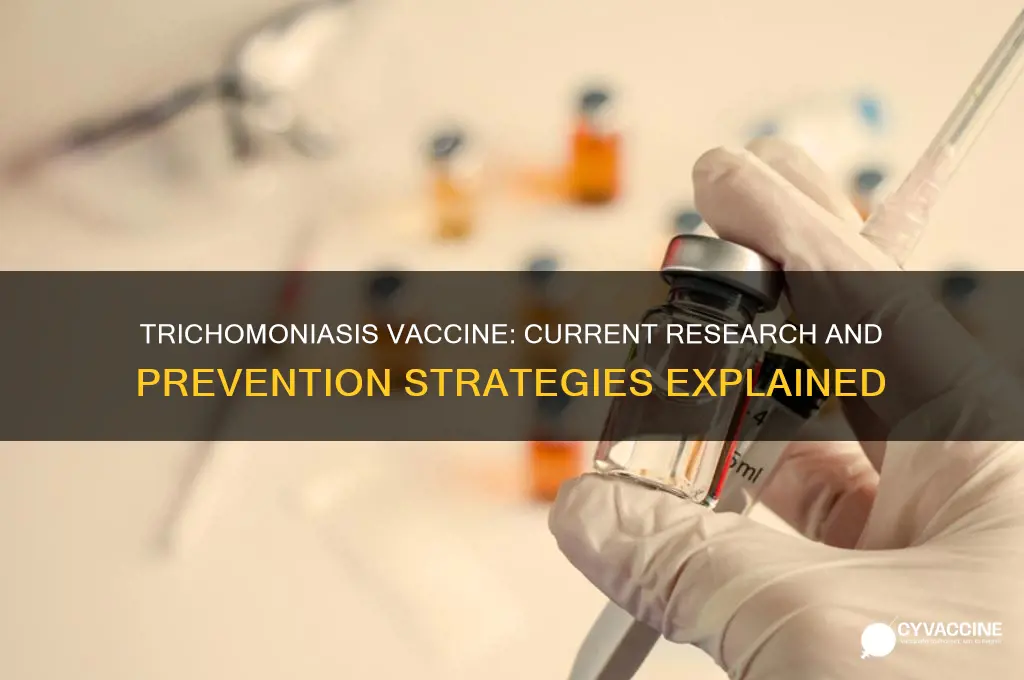 is there a vaccine for trichomoniasis
