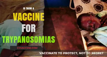 Exploring the Quest for a Trypanosomiasis Vaccine: Hope on the Horizon?