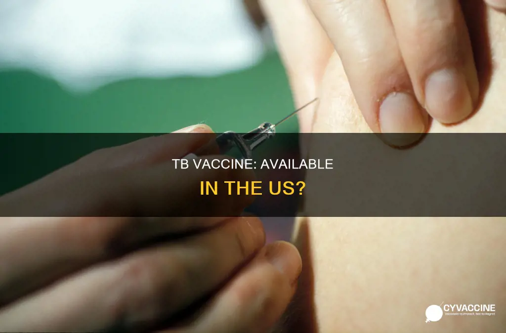 is there a vaccine for tuberculosis in the us