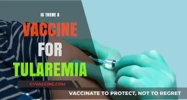 Exploring Tularemia: The Quest for a Protective Vaccine