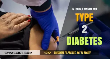 Exploring the Possibility of a Type 2 Diabetes Vaccine