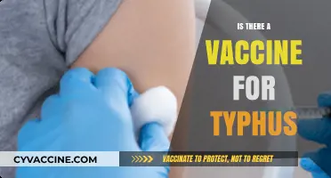 Typhus Vaccine: Current Status and Prevention Strategies Explained