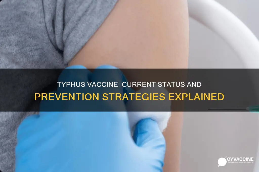 is there a vaccine for typhus