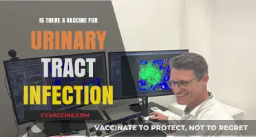 Exploring UTI Vaccine Research: Current Status and Future Possibilities
