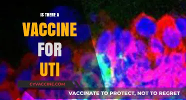 Exploring UTI Prevention: The Vaccine Possibility